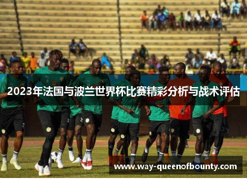 2023年法国与波兰世界杯比赛精彩分析与战术评估