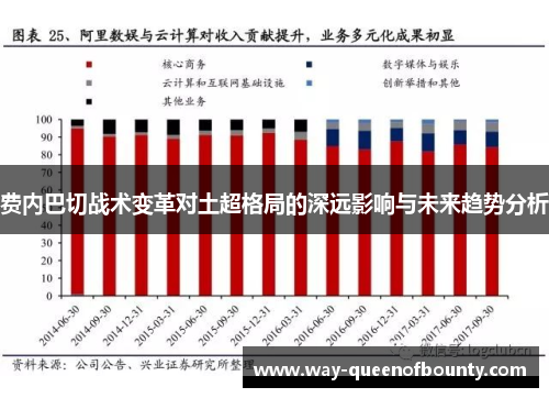 费内巴切战术变革对土超格局的深远影响与未来趋势分析