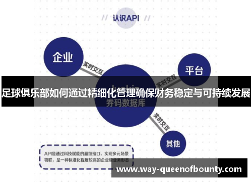 足球俱乐部如何通过精细化管理确保财务稳定与可持续发展