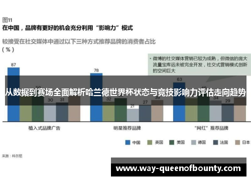 从数据到赛场全面解析哈兰德世界杯状态与竞技影响力评估走向趋势